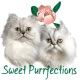 Sweet Purrfections