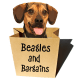 Beagles and Bargains