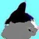 Aimable Cats