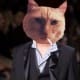 Cokie the Cat: Hollywood Insider - With Balzac!