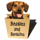 Jessica Shipman | Beagles and Bargains