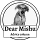 DearMishu